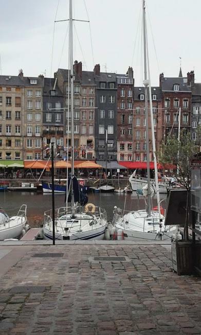 La Fleur D Honfleur Avec Son Parking Leilighet Eksteriør bilde